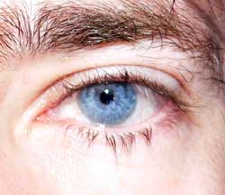 Profil de Adonis, 55 ans, Rencontre Mature à Michelshof